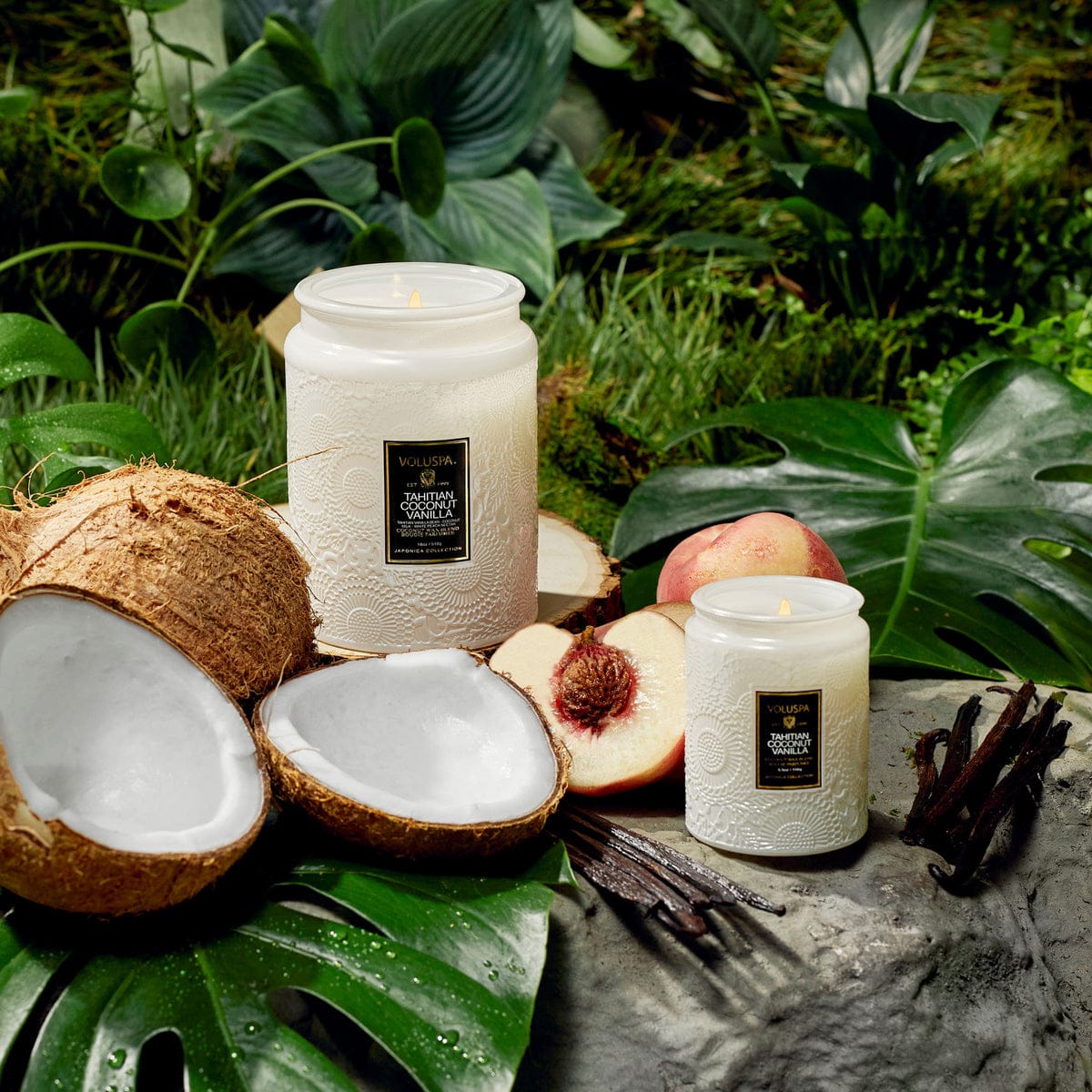 Small Jar 5.5oz. Tahitian Coconut Vanilla