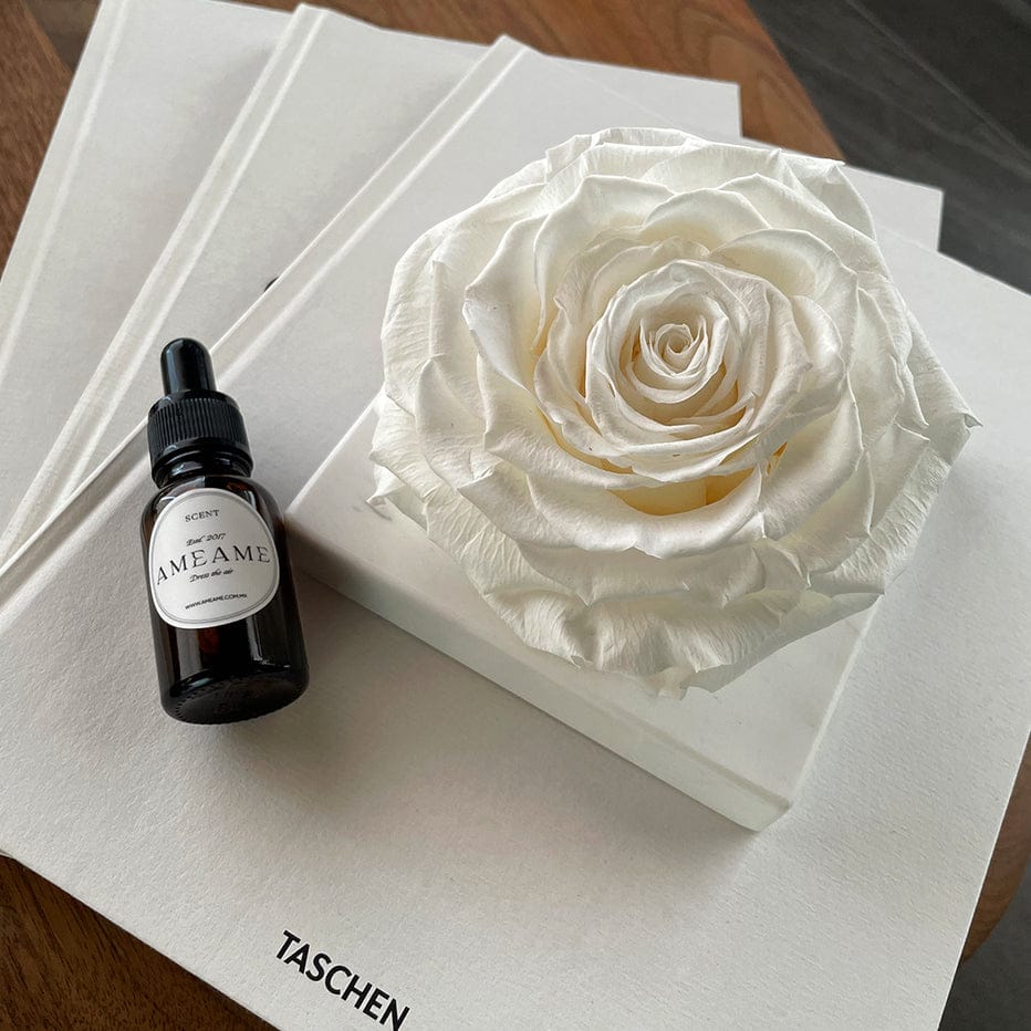 Rosa Preservada con Gotero