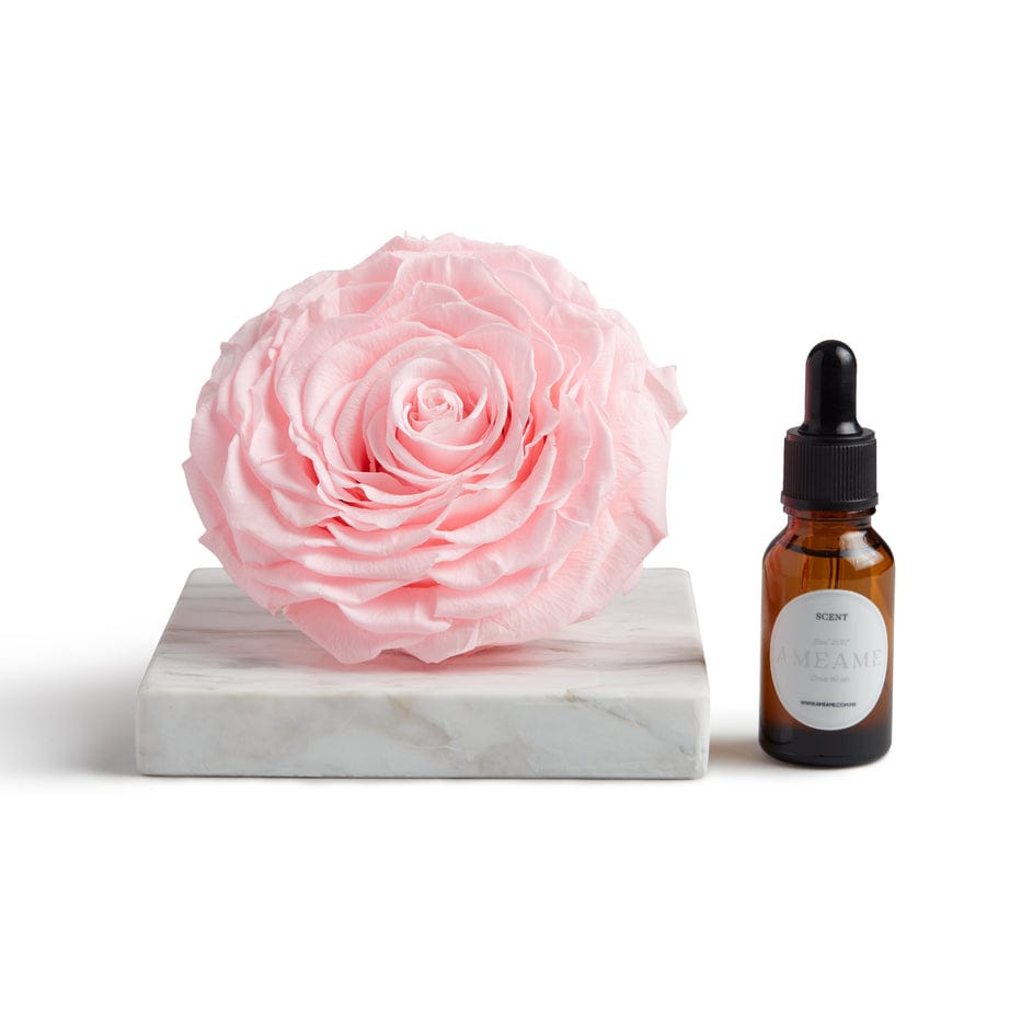 Rosa Preservada con Gotero