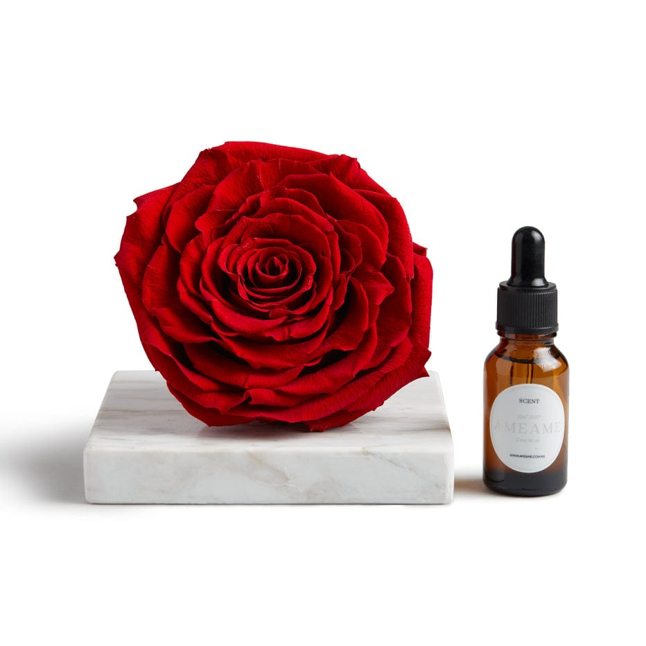 Rosa Preservada con Gotero